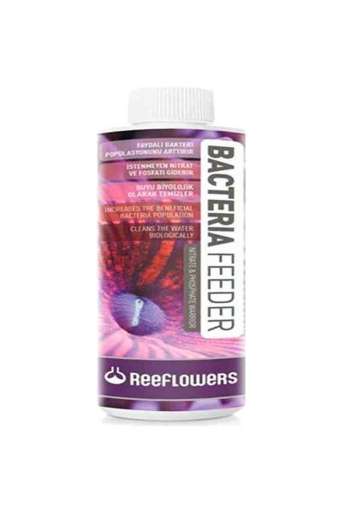 Reeflowers Bacteria Feeder Akvaryum Faydalı Bakteri 500 ml