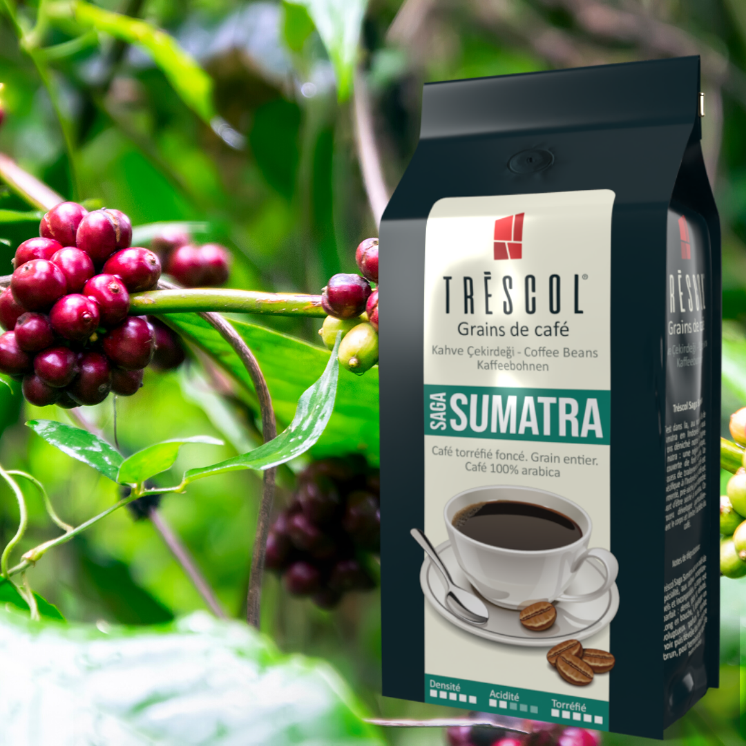 Trescol Sumatra Öğütülmüş Kahve 250Gr+ Trescol 40�lı Kağıt Filtre
